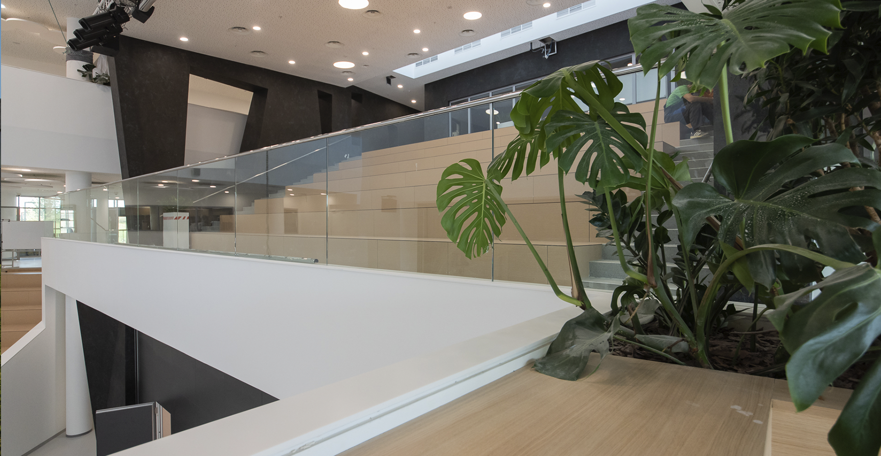 Фото проекта: Школа-кампус &laquo;Летово&raquo;. Изображение № 11